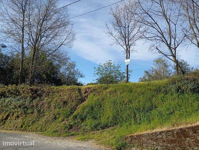 Lindo Terreno na Variante - Grande imagem: 4/7