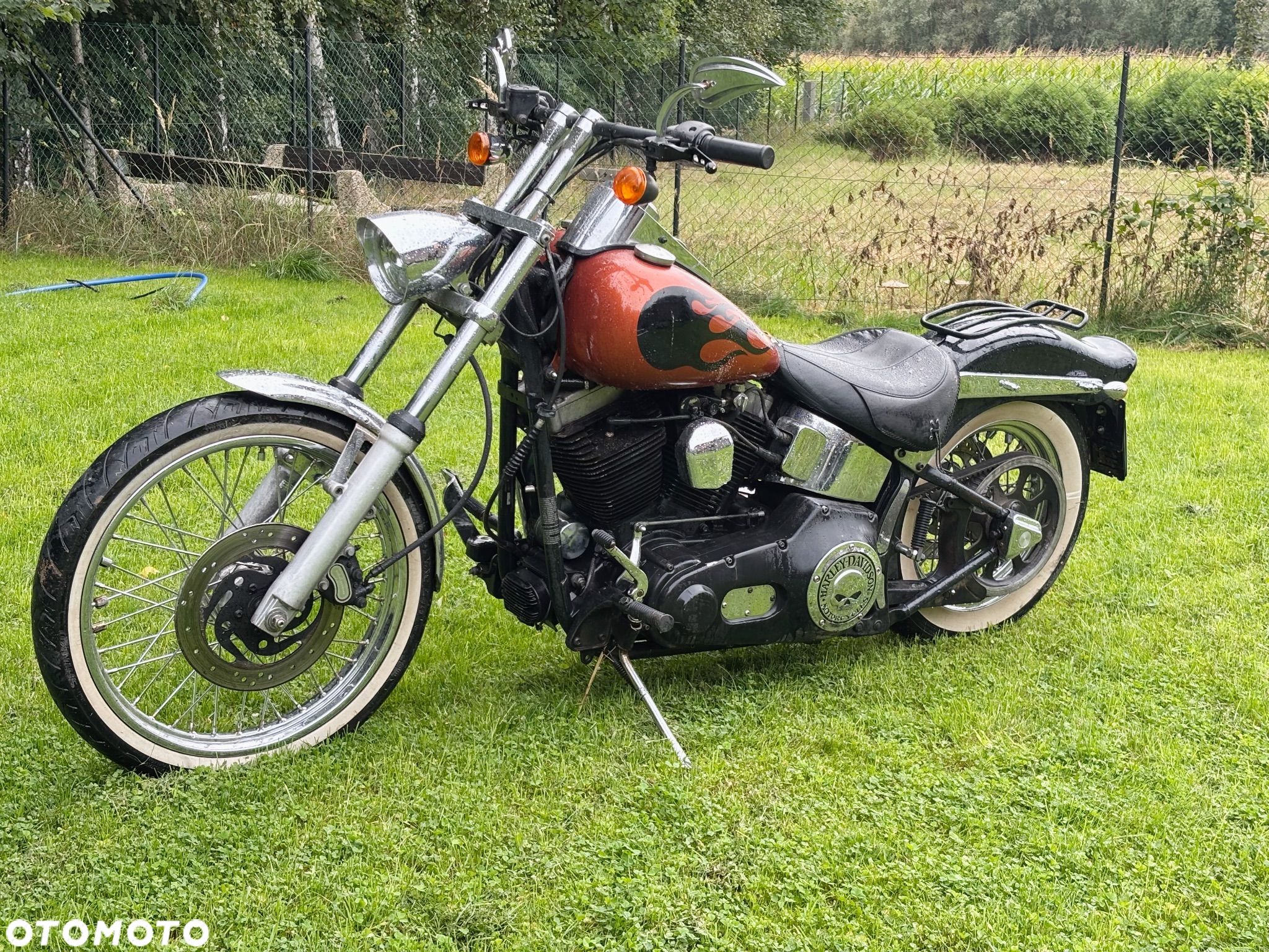 Harley-Davidson Softail Standard - 1