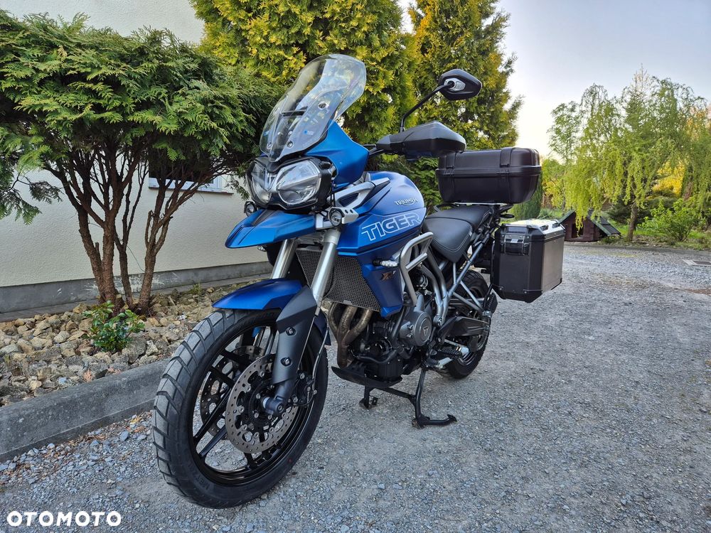 Triumph Tiger - 2