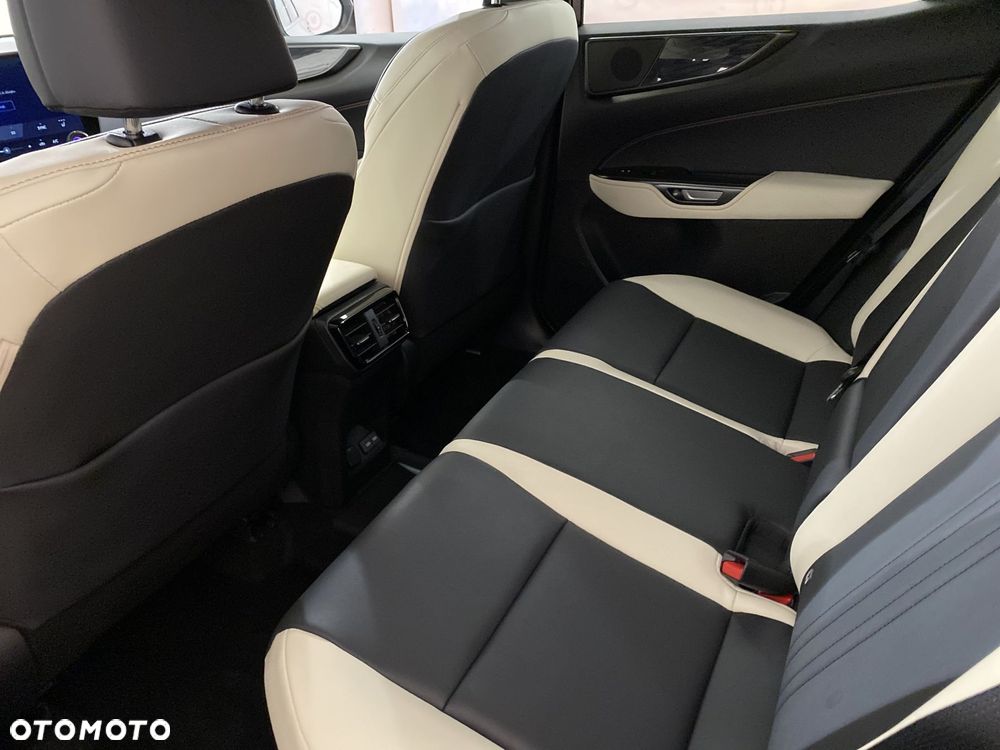 Lexus NX - 12