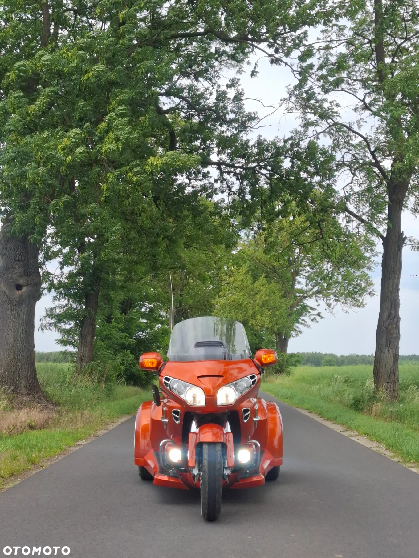 Honda GL - 5
