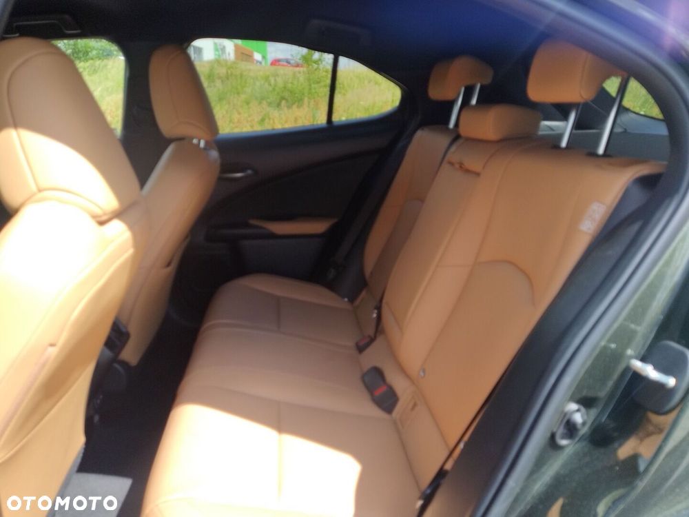 Lexus UX 250h GPF F Sport Design 2WD - 11