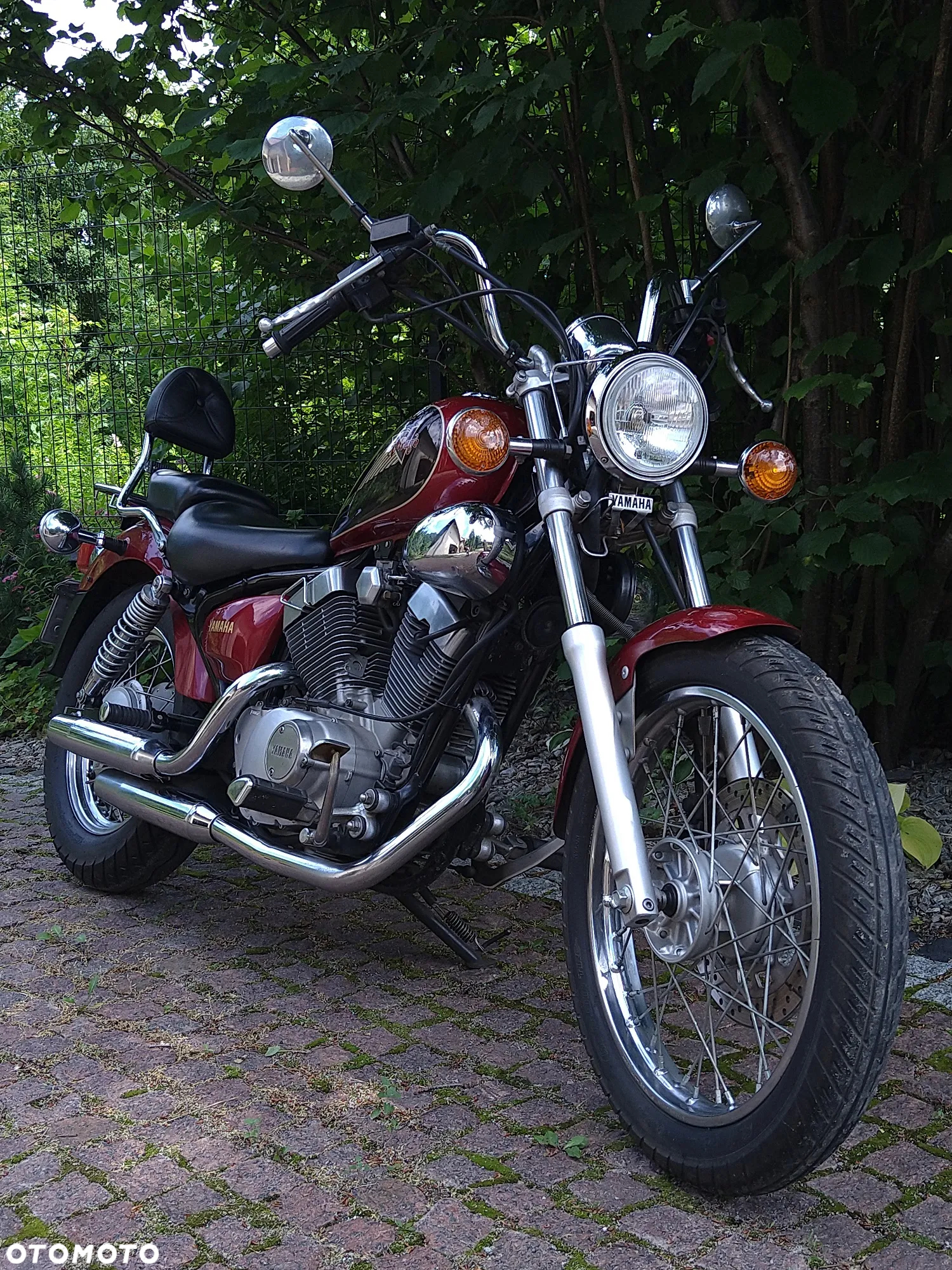Yamaha Virago - 7