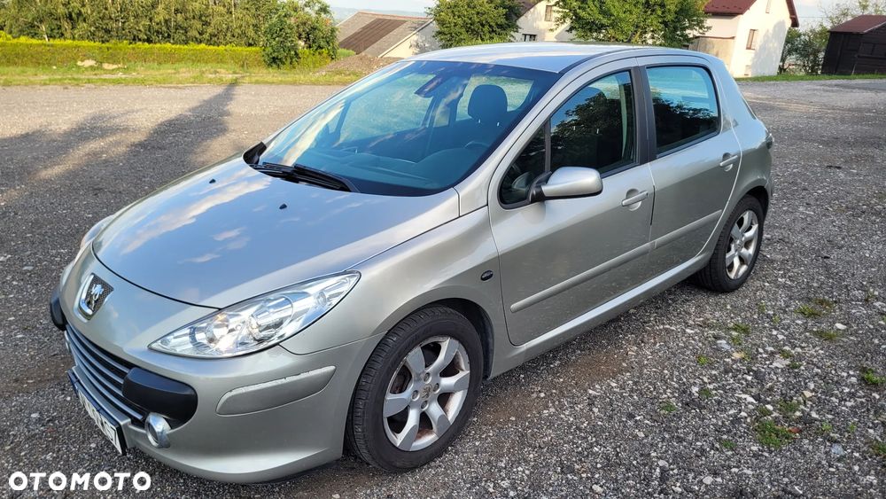 Peugeot 307 1.6 HDi - 10