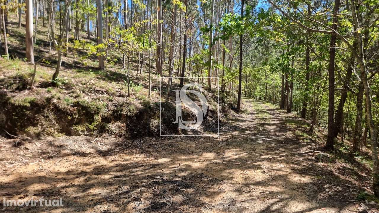 Terreno  Venda em Mosteiro,Vieira do Minho - Grande imagem: 2/24