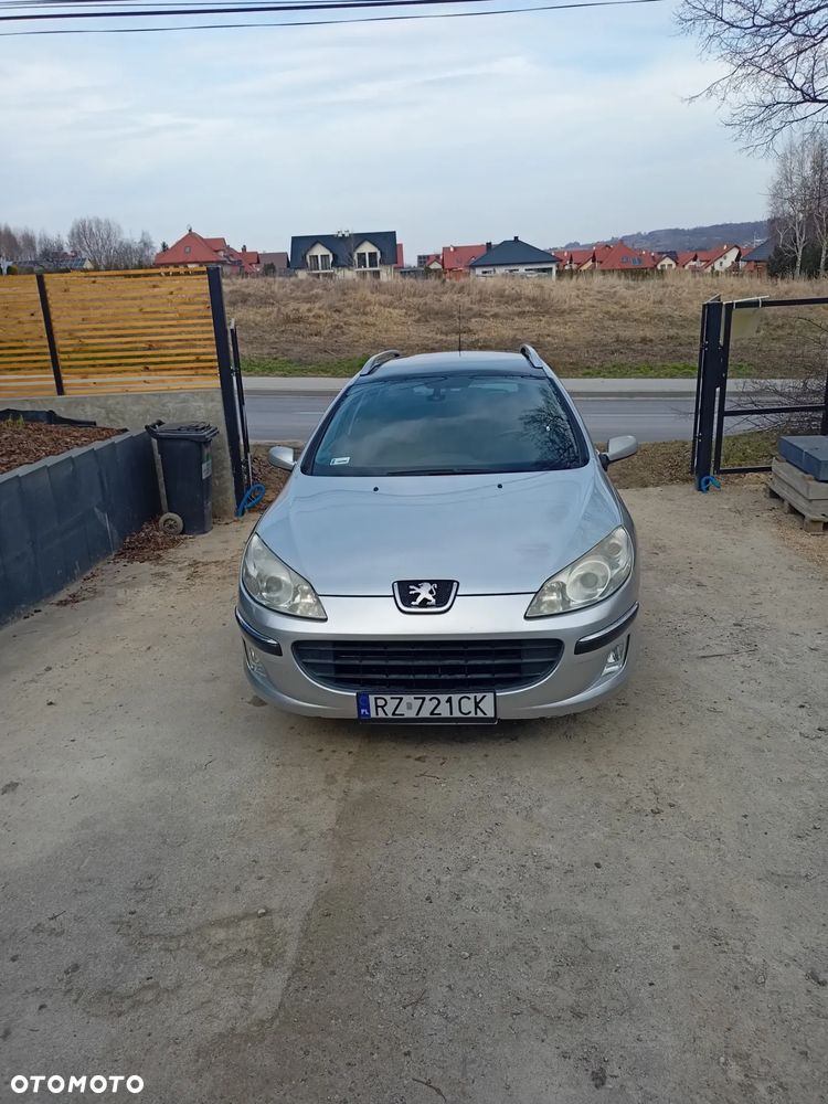 Peugeot 407 - 14
