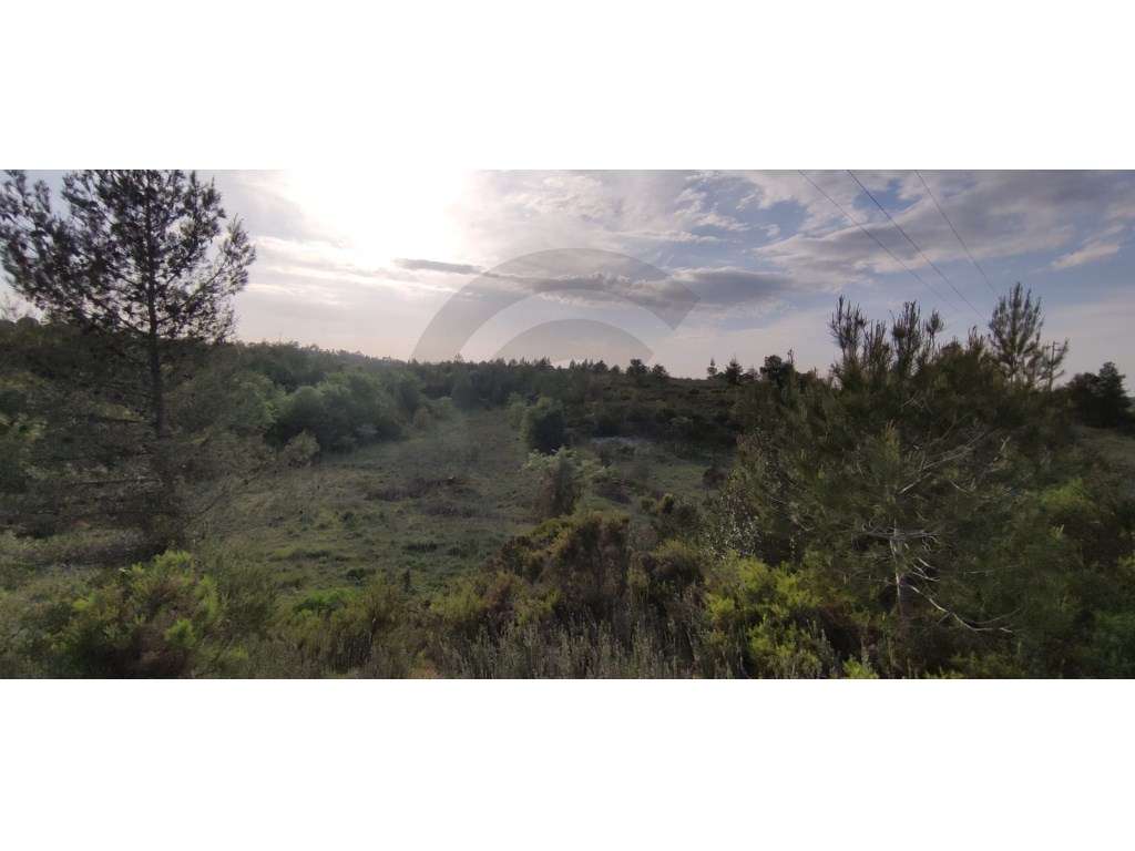 Terreno agrícola com viabilidade para projecto energético - Grande imagem: 2/10