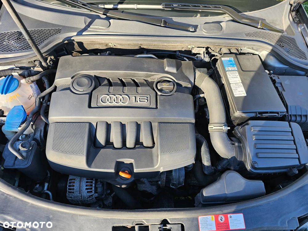 Audi A3 Sportback 1.6 Ambition - 16