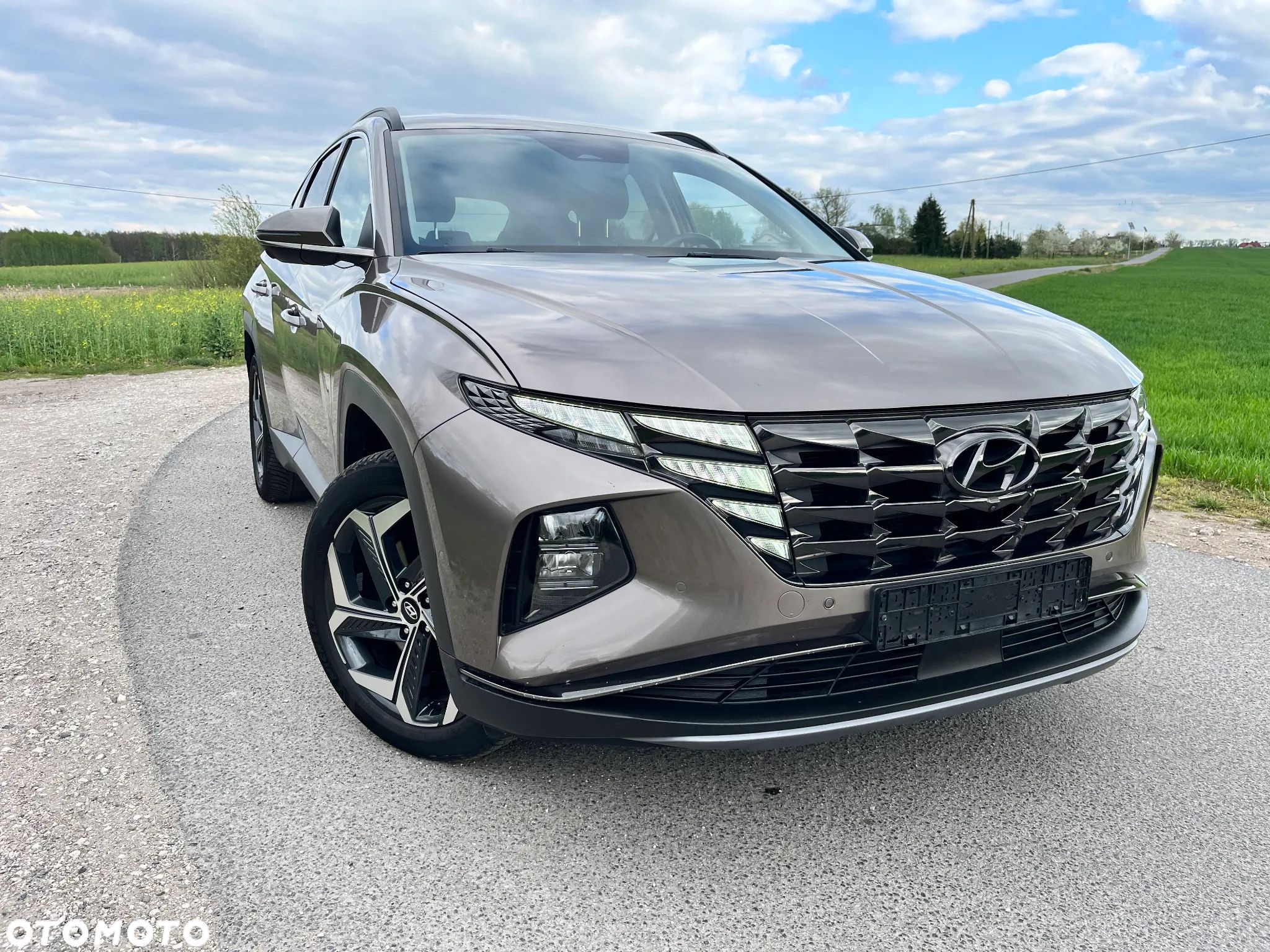 Hyundai Tucson 1.6 T-GDi HEV Executive 2WD - 1