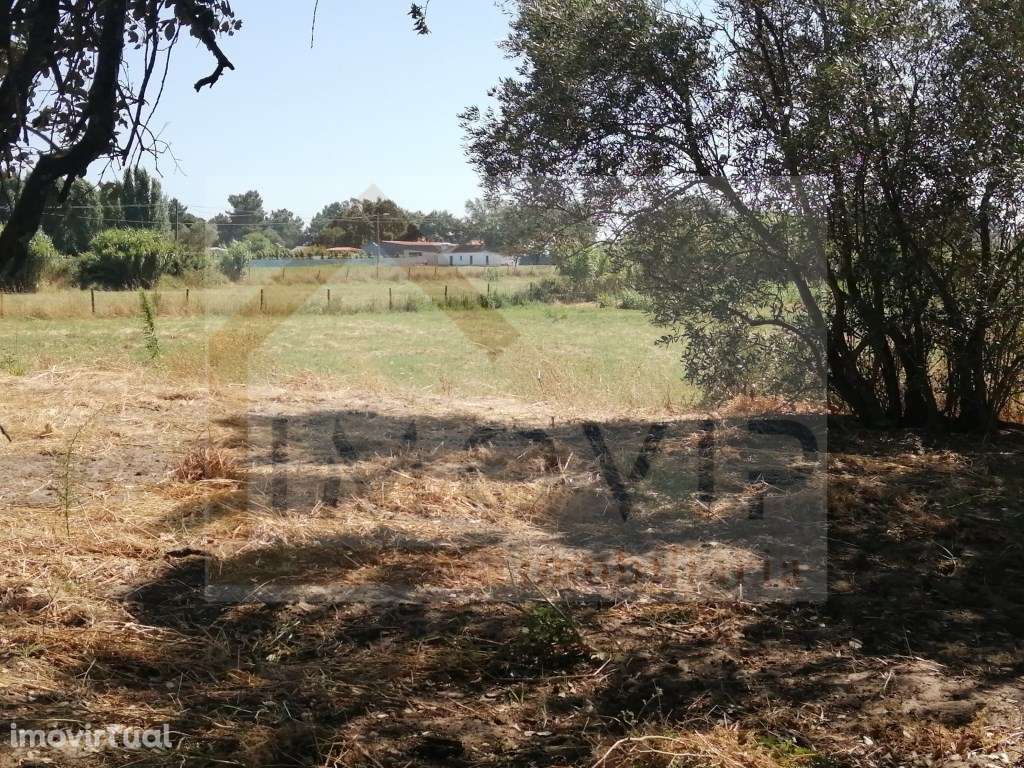 TERRENO Rústico com 5250 m2 no Terrim - Grande imagem: 3/27