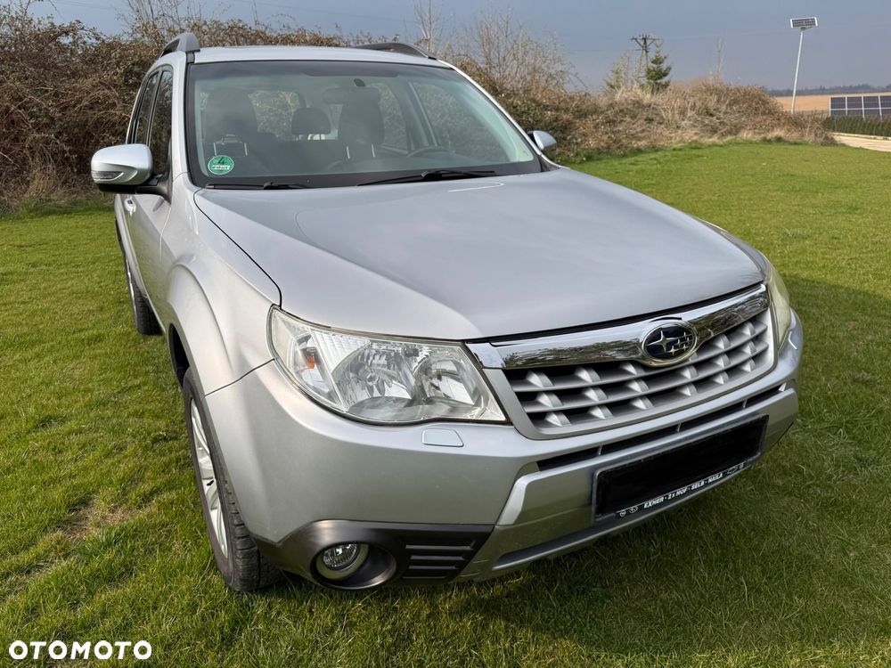 Subaru Forester - 7