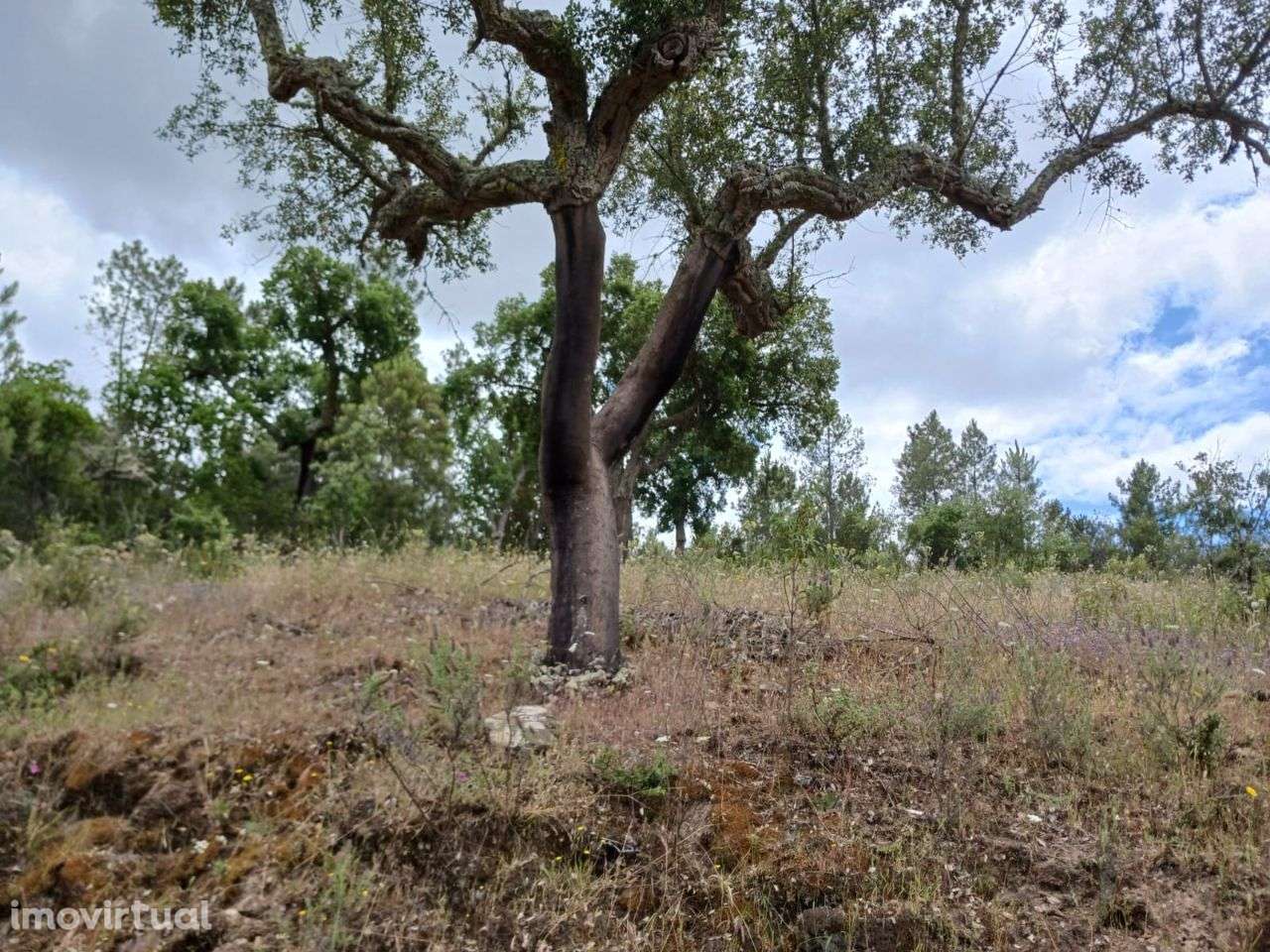 Quinta - Grande imagem: 5/9