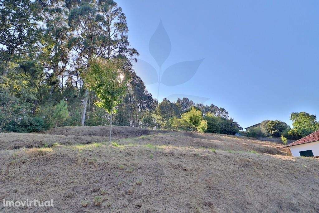 Venda terreno c/ viabilidade de construção - Vila Verde - Grande imagem: 2/25