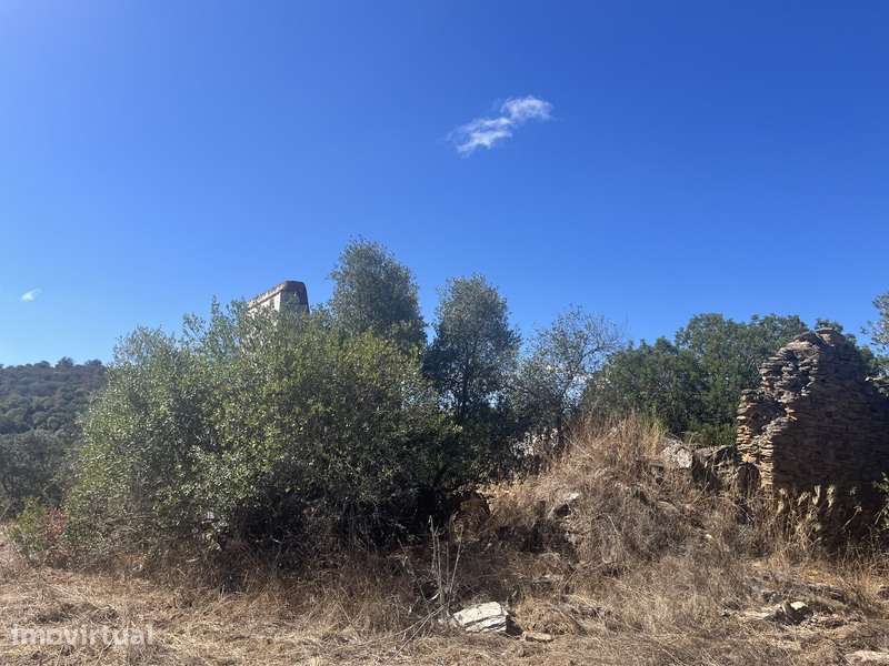 Herdade com 48ha de Natureza c/ Ruína de 53 m² – Ideal Projetos Rurais - Grande imagem: 2/22