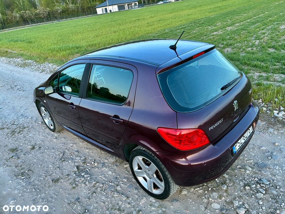 Peugeot 307 2.0 XT - 19