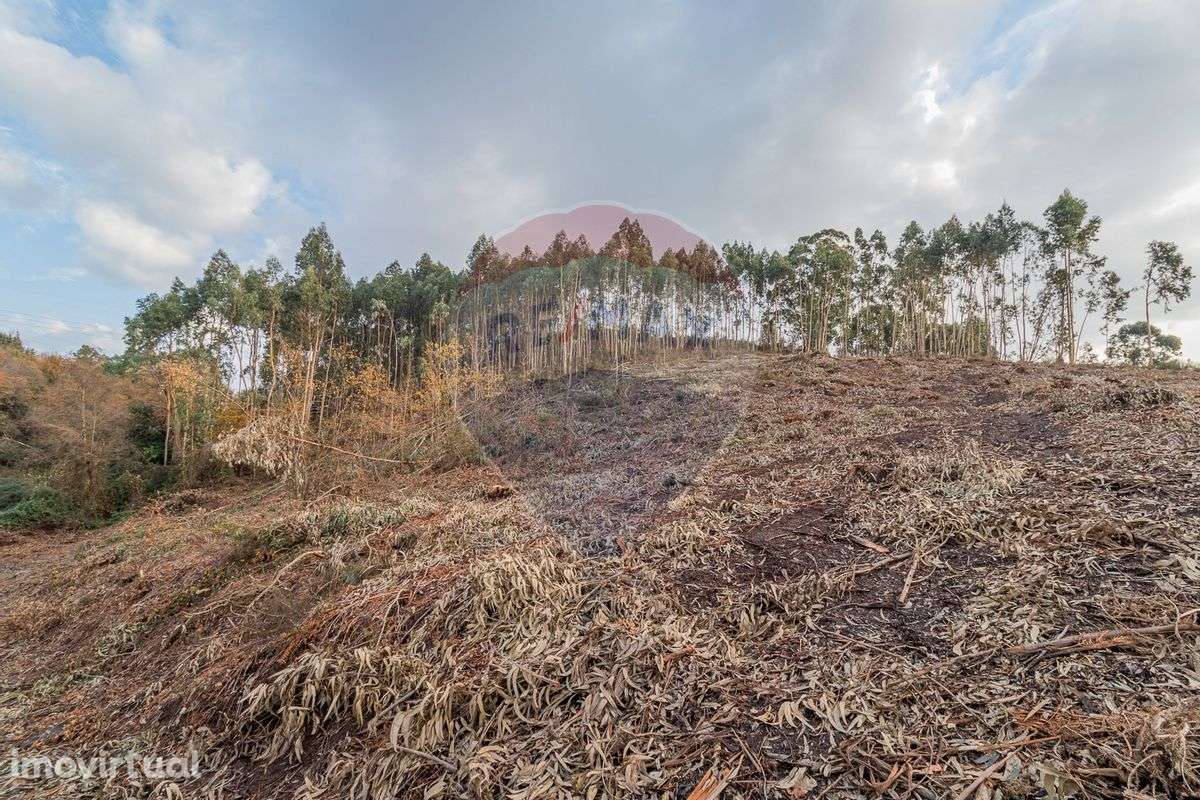 Terreno  para venda - Grande imagem: 4/9