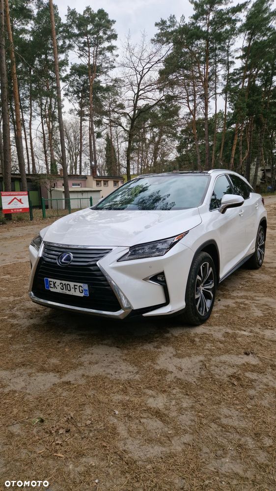 Lexus RX 450h (hybrid) - 10