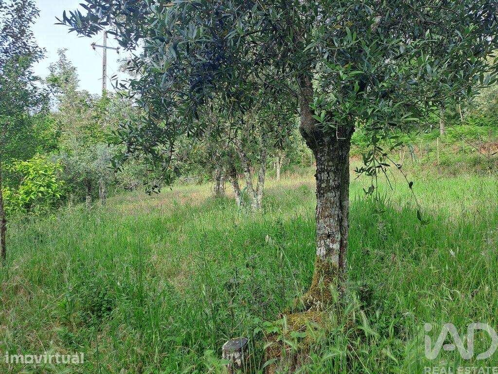 Moradia geminada T5 em Lousã e Vilarinho de 120 m2 - Grande imagem: 2/9