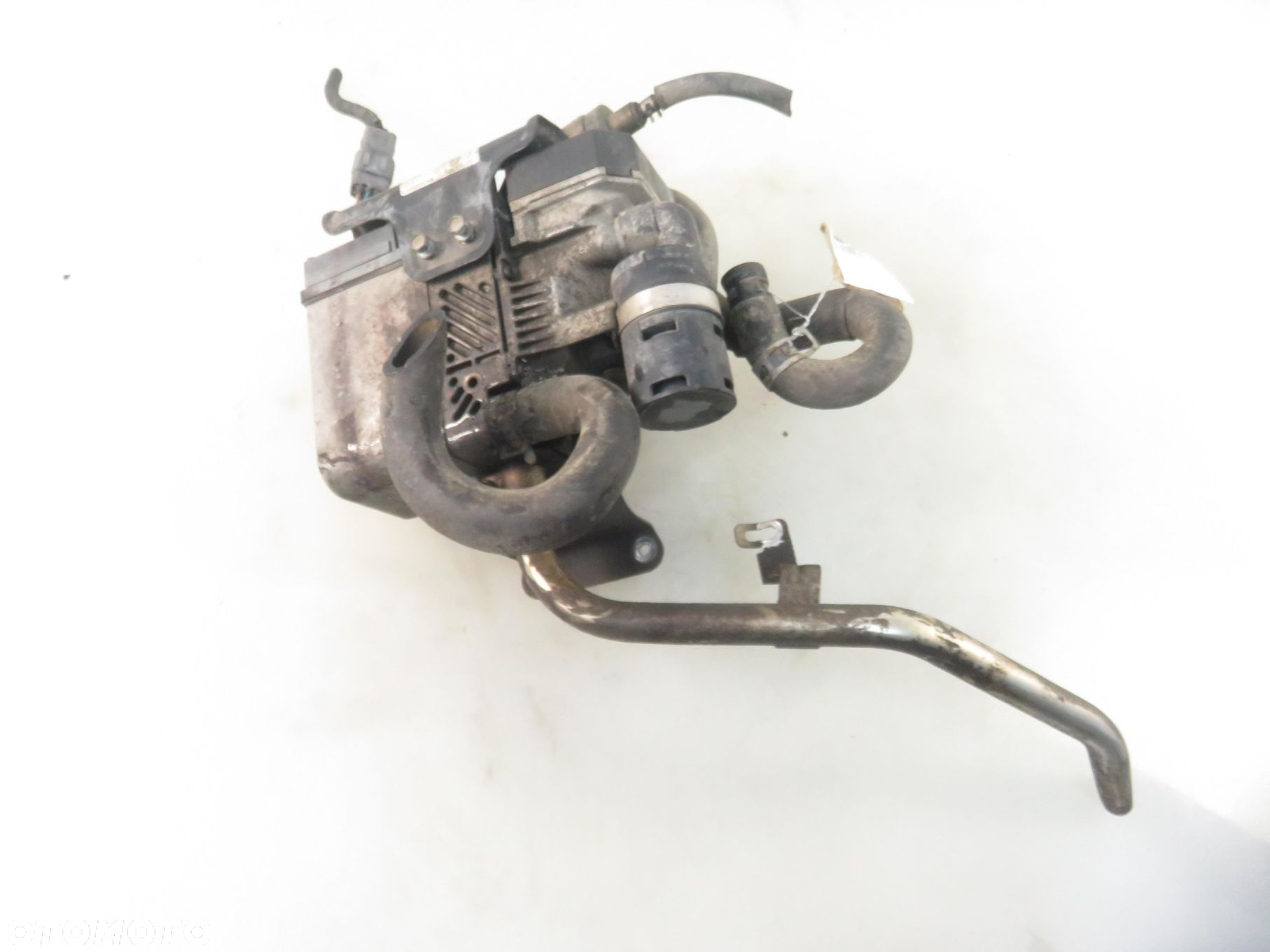 WEBASTO MAZDA 6 000002021131 - 5