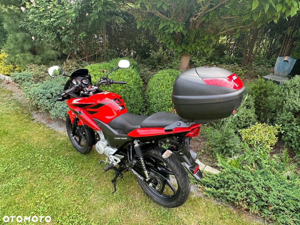 Honda CBF - 6