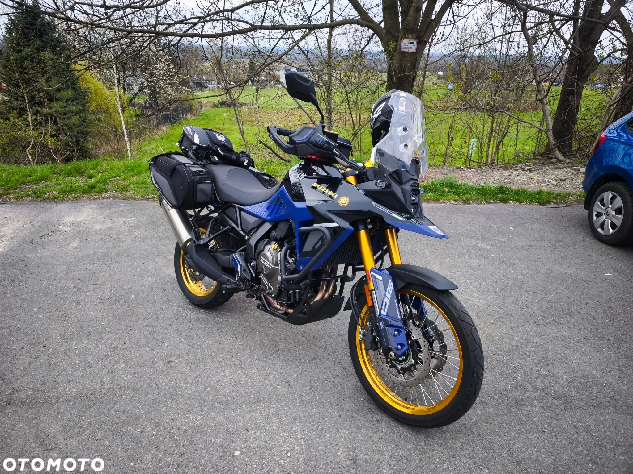 Suzuki DL