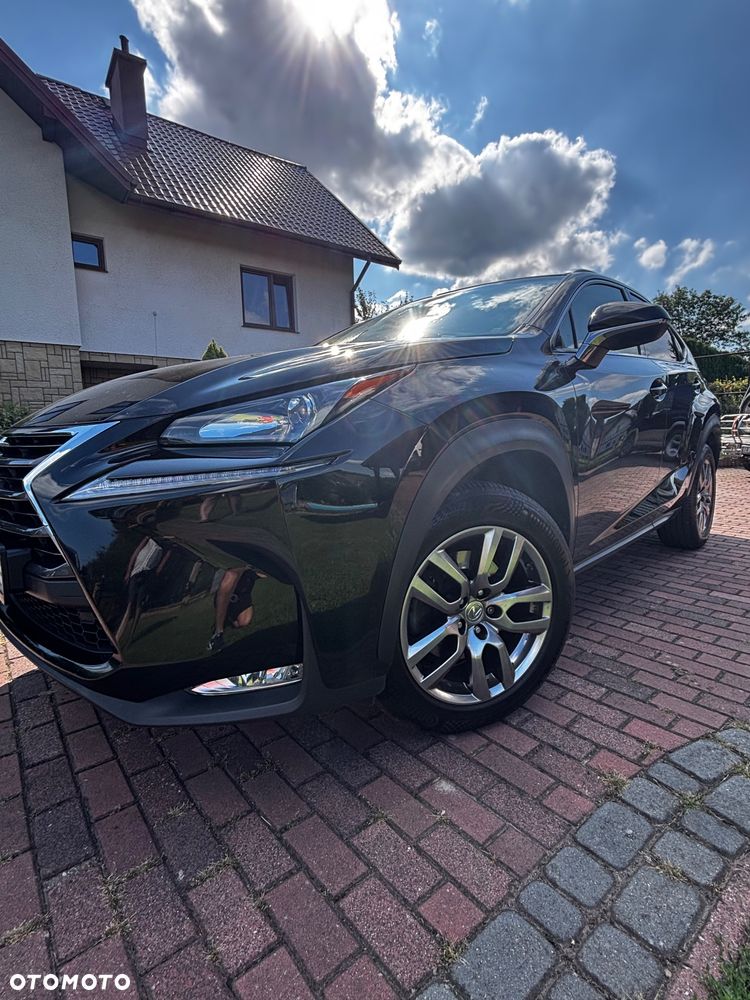 Lexus NX - 18