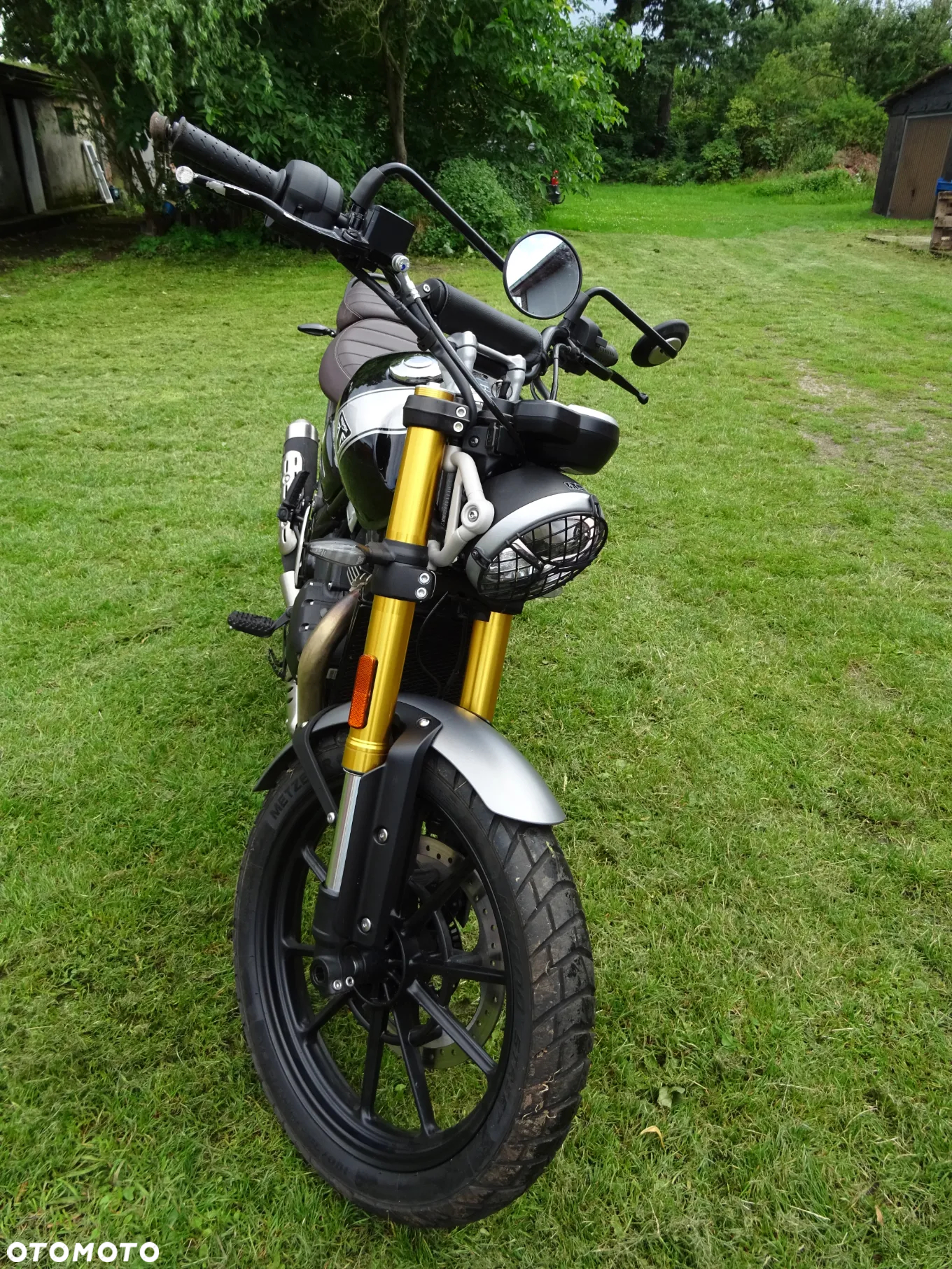 Triumph Scrambler - 10