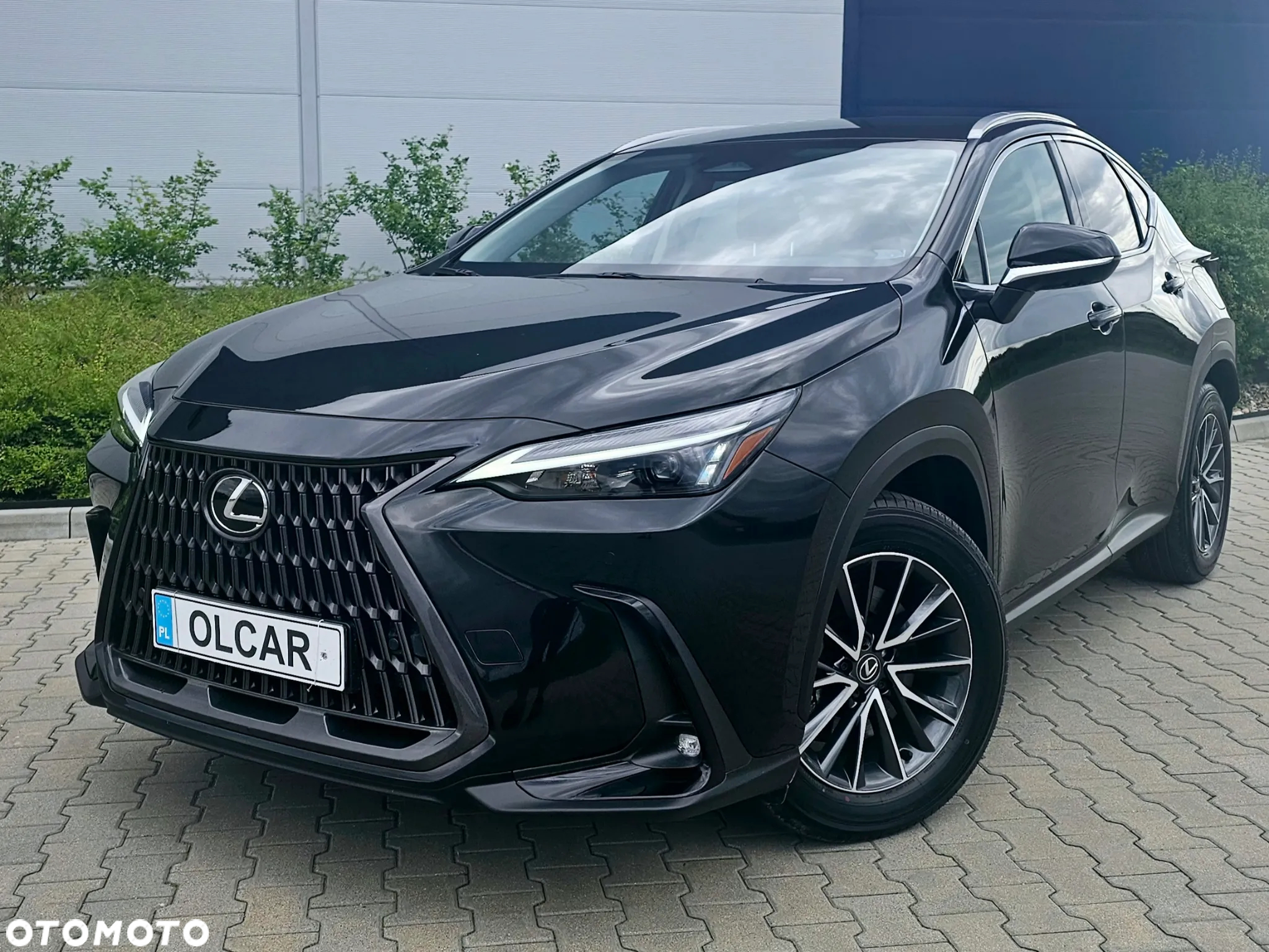 Lexus NX 450h+ Overtrail AWD - 2