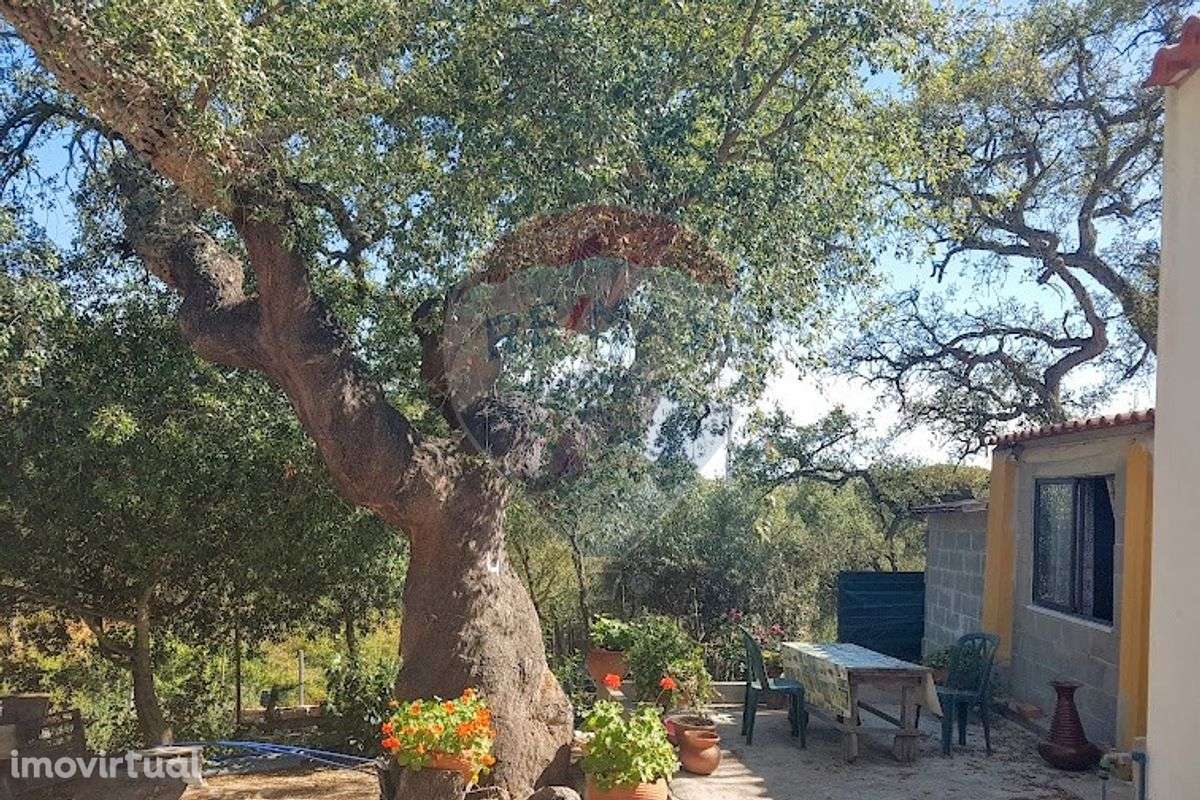 Terreno  para venda - Grande imagem: 4/14