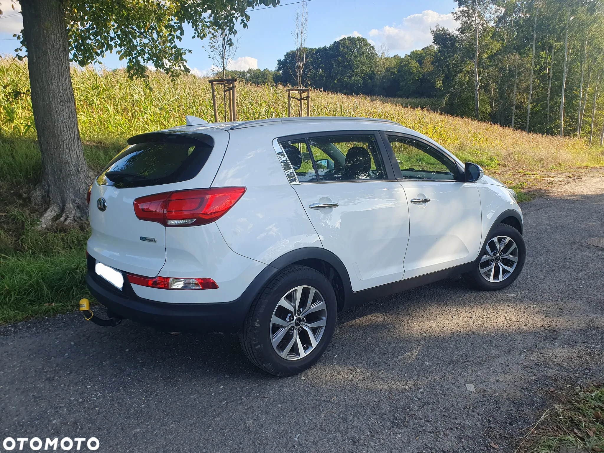 Kia Sportage 1.6 GDI Business Line 2WD - 2