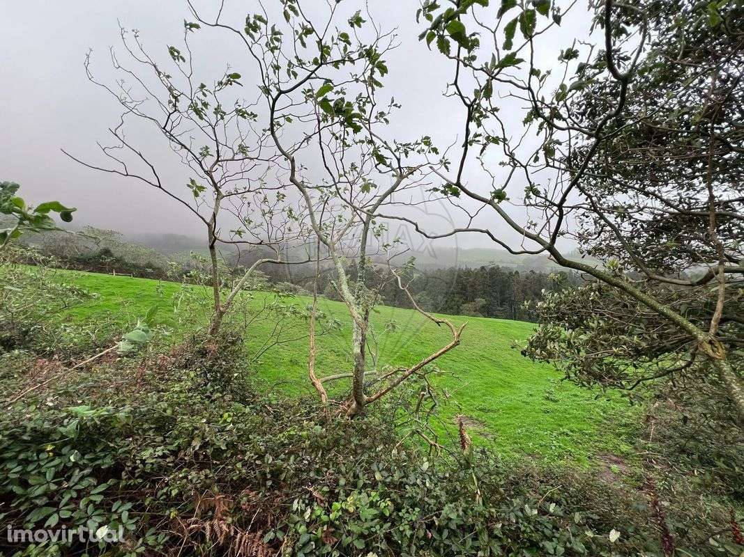 Terreno  para venda - Grande imagem: 4/9