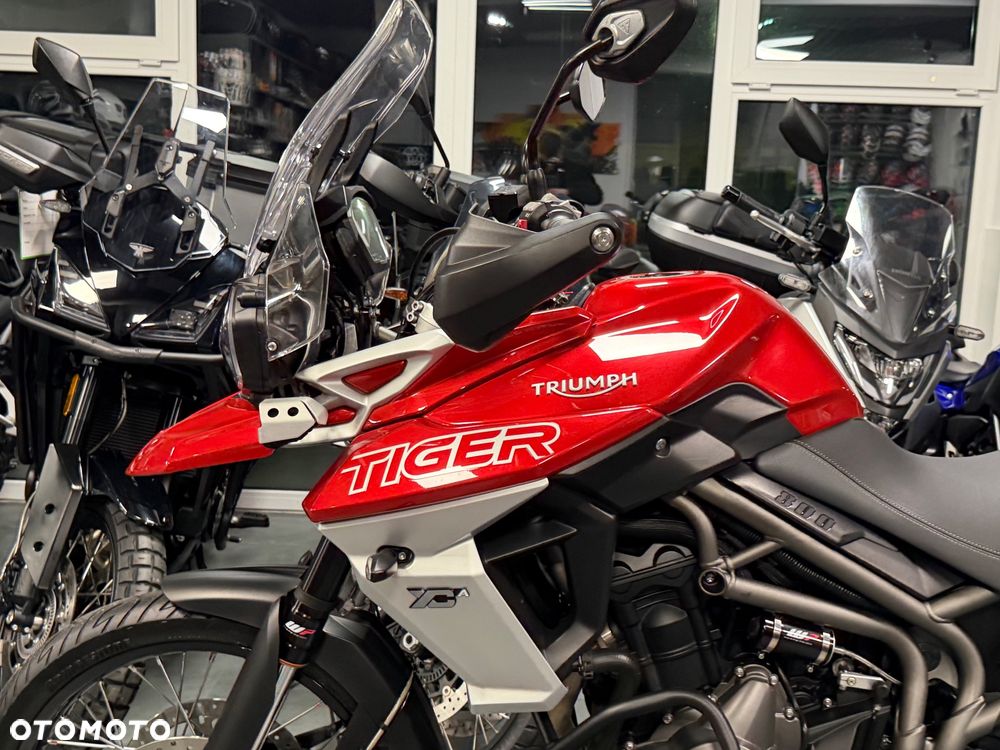 Triumph Tiger - 34