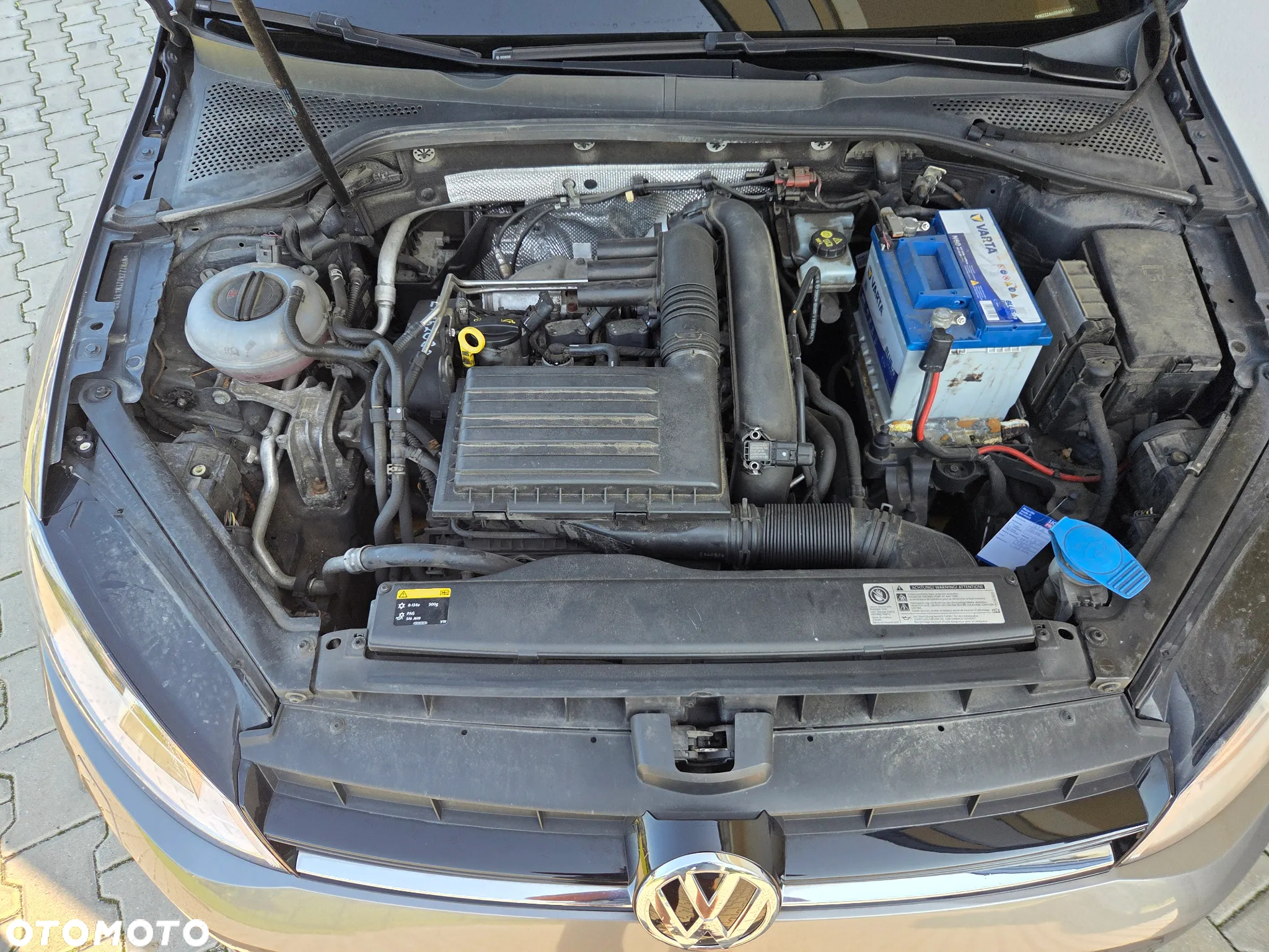 Volkswagen Golf - 19