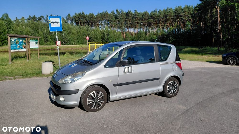 Peugeot 1007 - 21