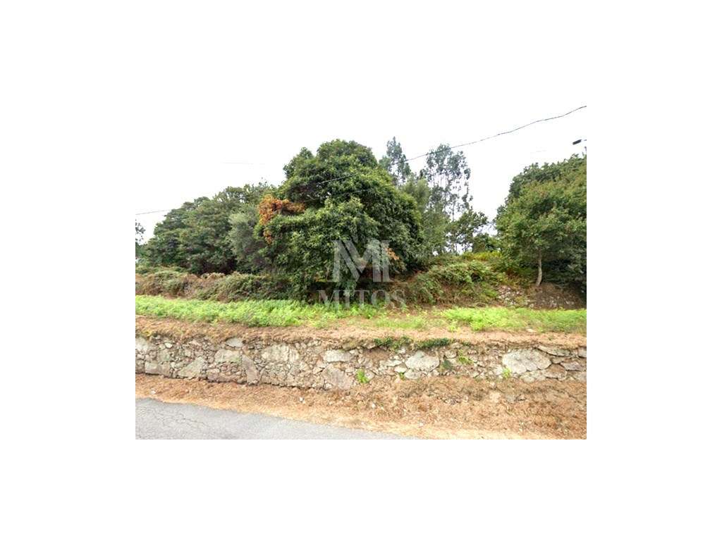 Terreno com ruína em Tregosa - Barcelos - Grande imagem: 4/14