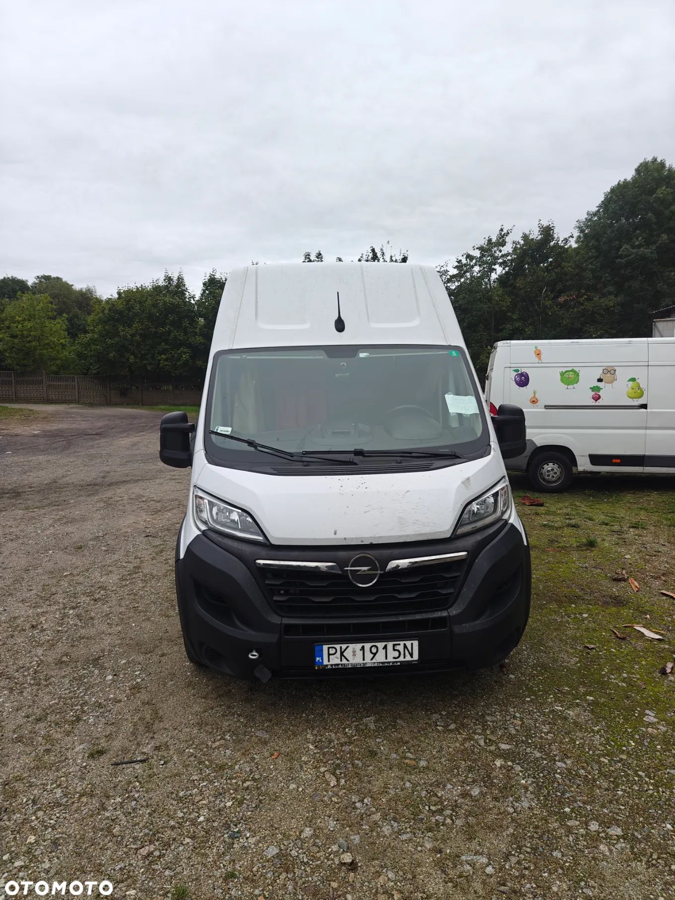 Opel Movano - 1