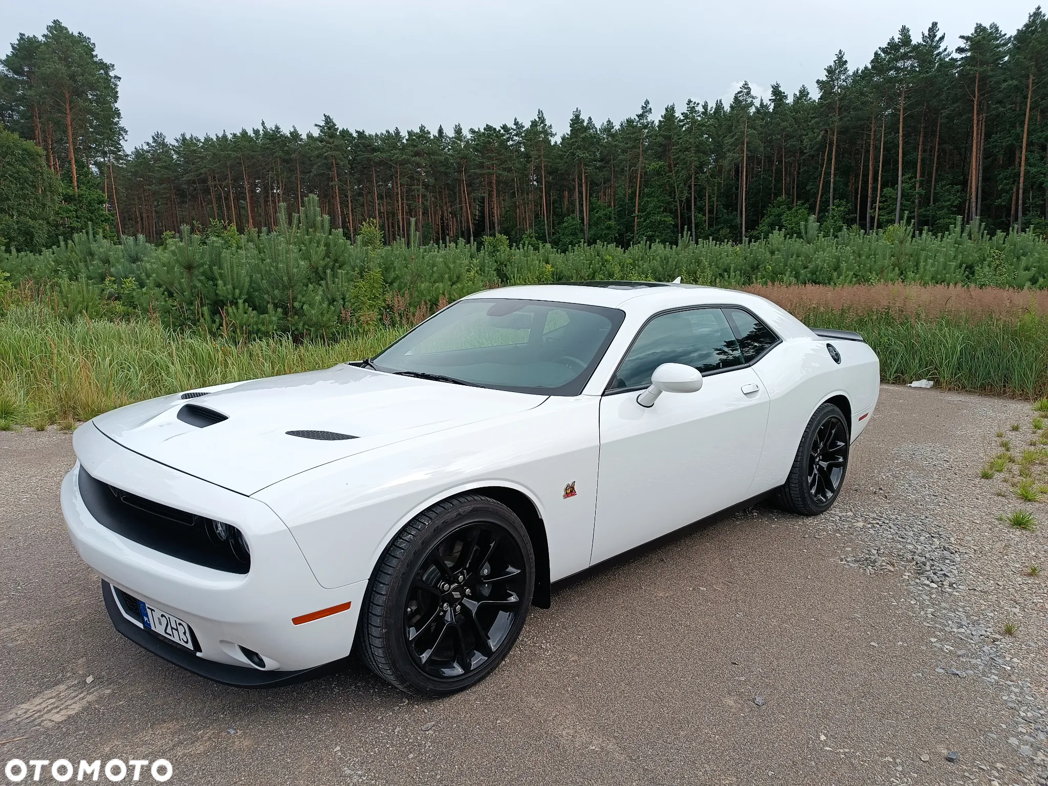 Dodge Challenger 6.4 Scat Pack - 9