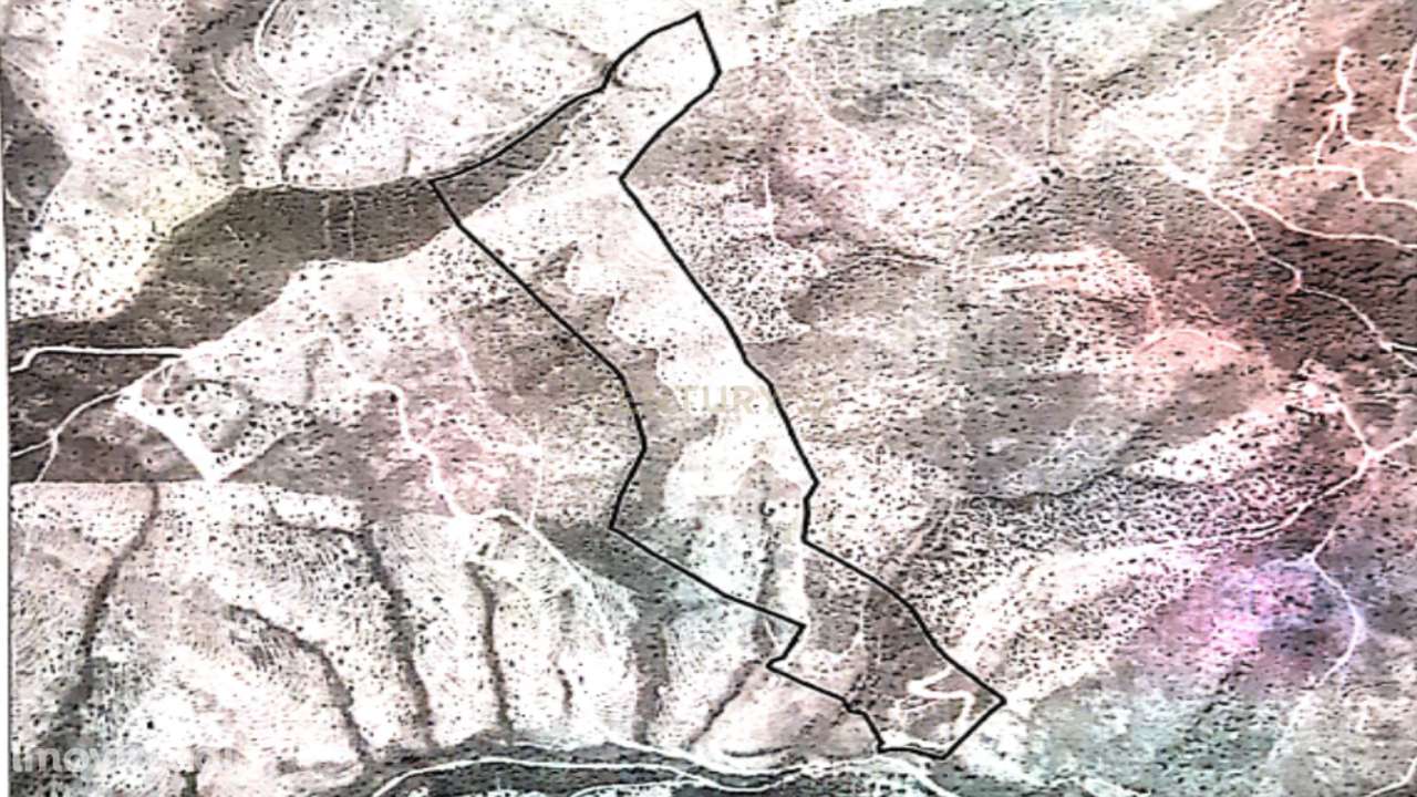 Terreno de 10Hetares com sobreiros. - Grande imagem: 3/4