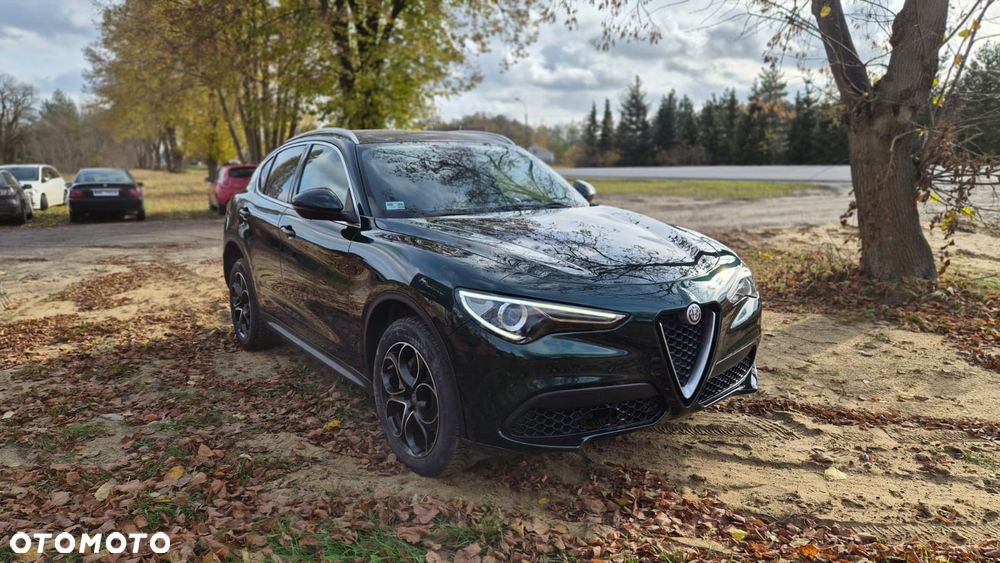 Alfa Romeo Stelvio 2.0 Turbo 16V AT8-Q4 Ti - 8