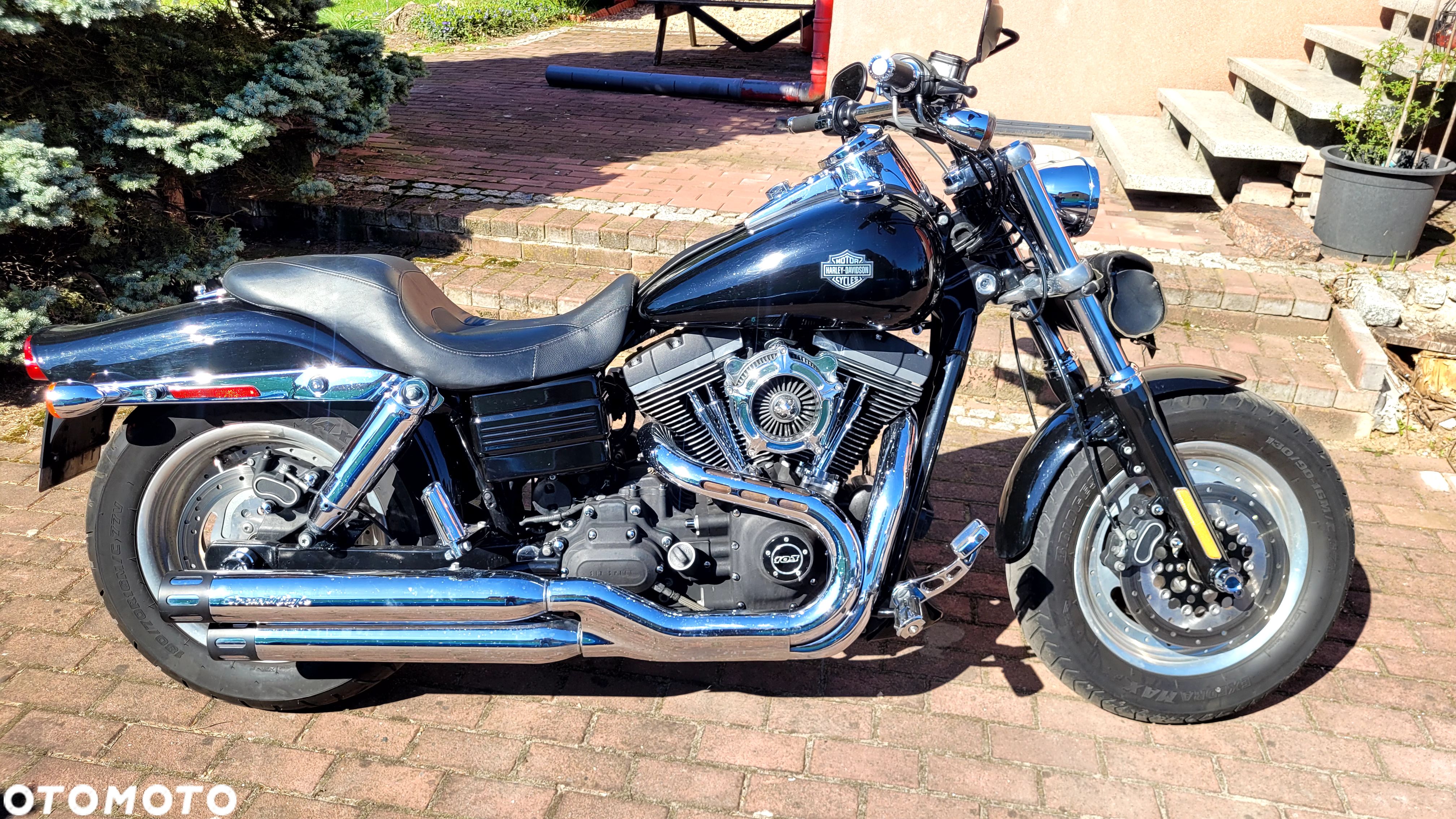 Harley-Davidson Dyna Fat Bob - 1