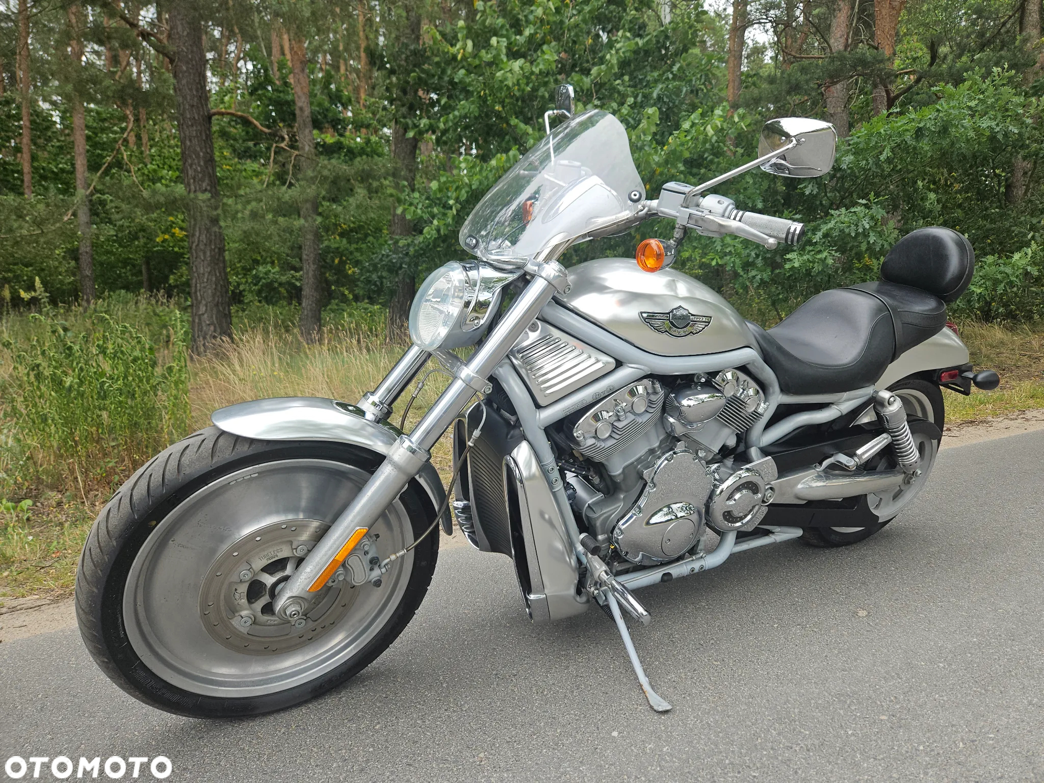 Harley-Davidson V-Rod Street Rod - 10
