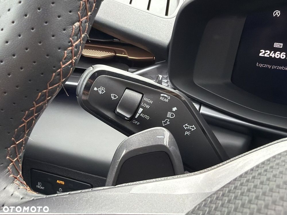 Cupra Terramar - 20