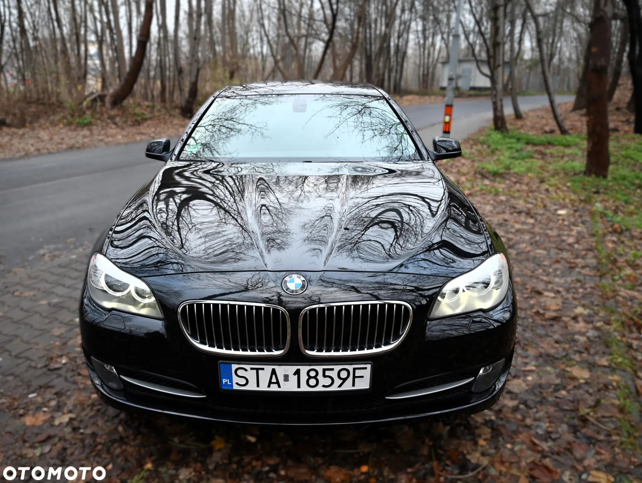 BMW Seria 5 - 1