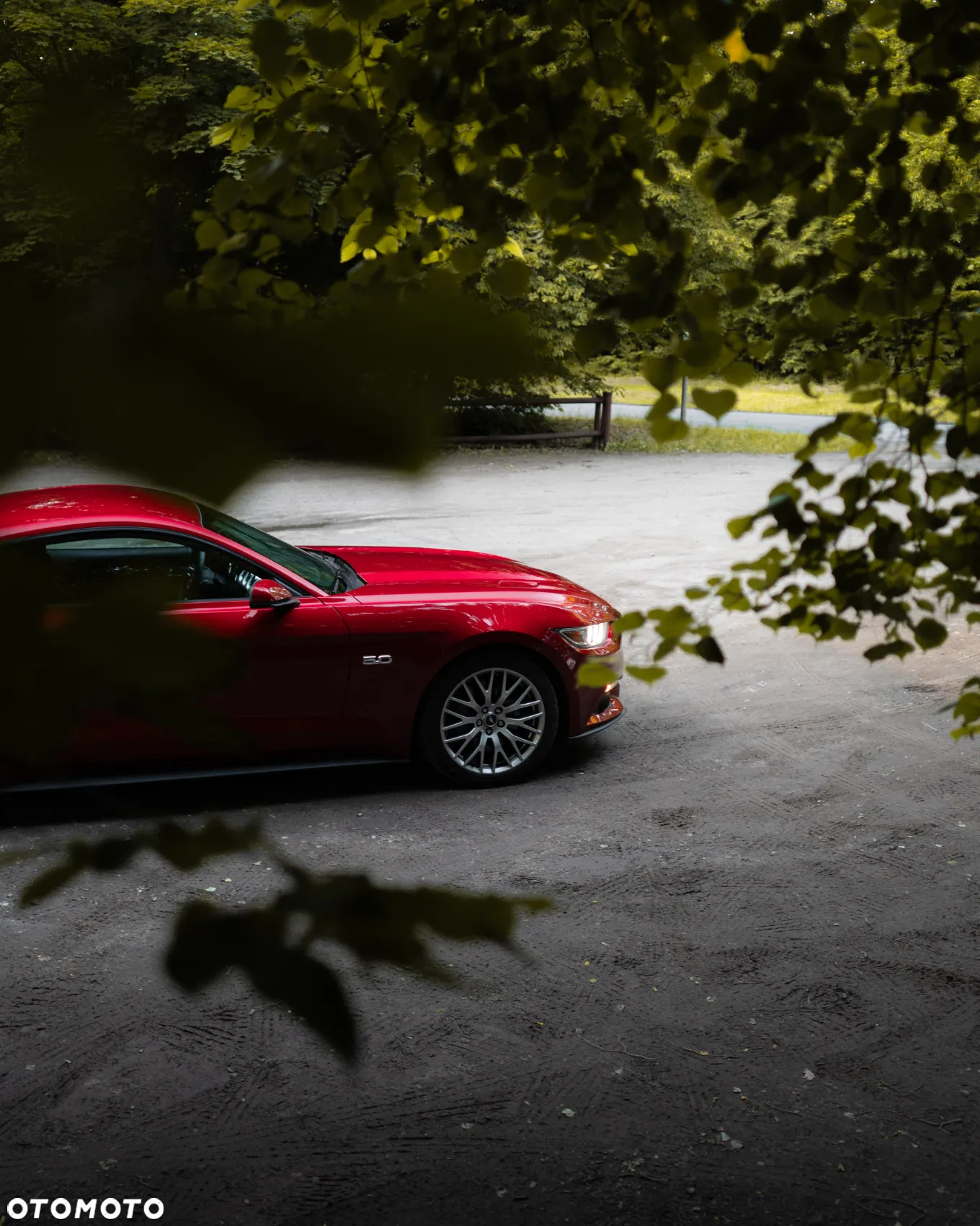 Ford Mustang 5.0 V8 GT - 25