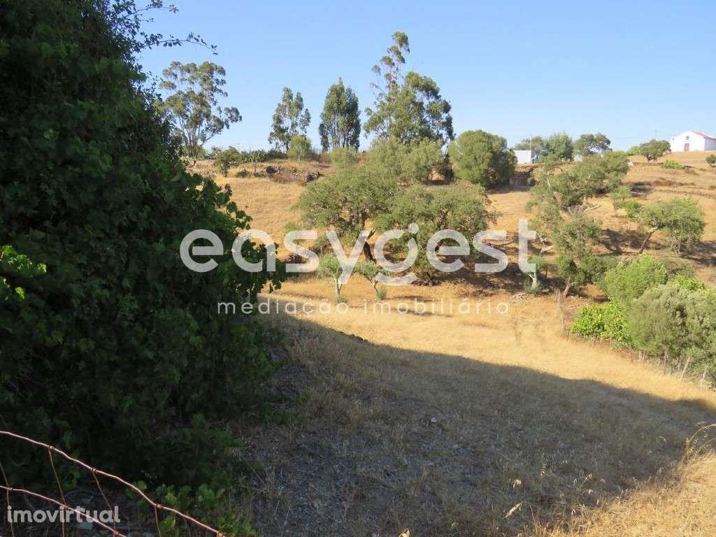 Moradias V3 Para Recuperar em Almodôvar - Grande imagem: 3/9