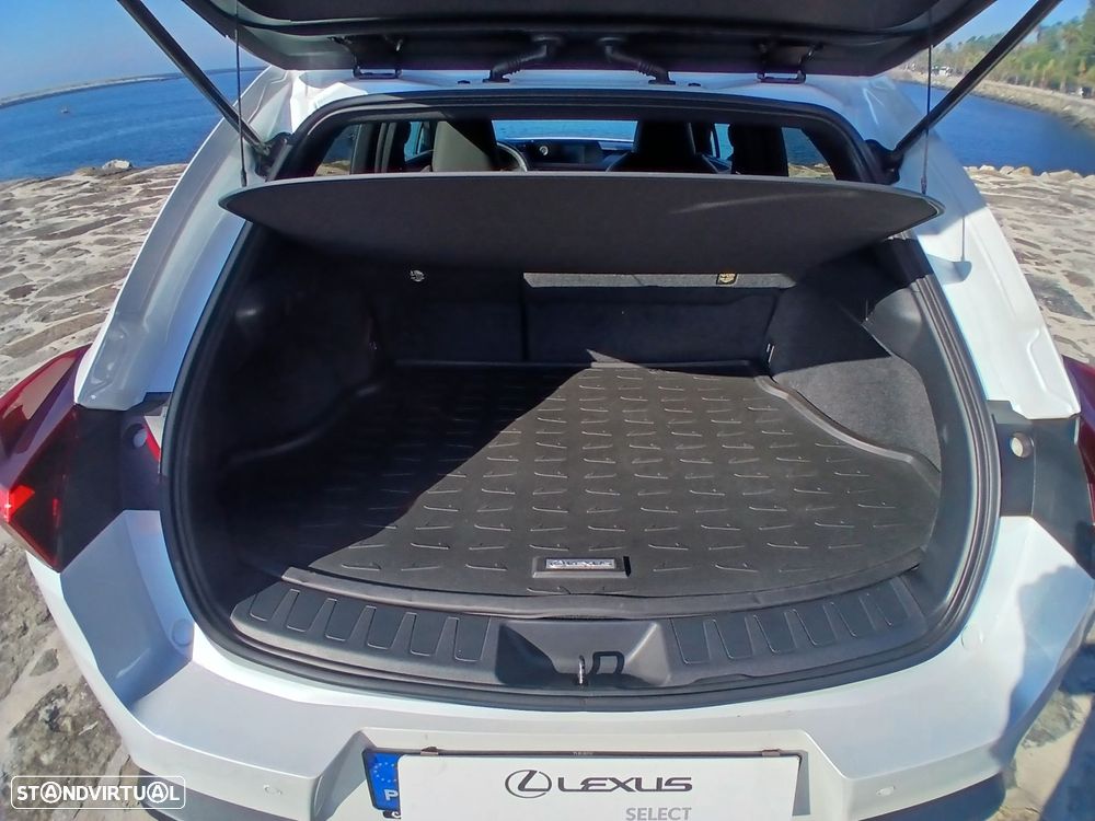 Lexus UX 250h Special Edition (LCA) - 15