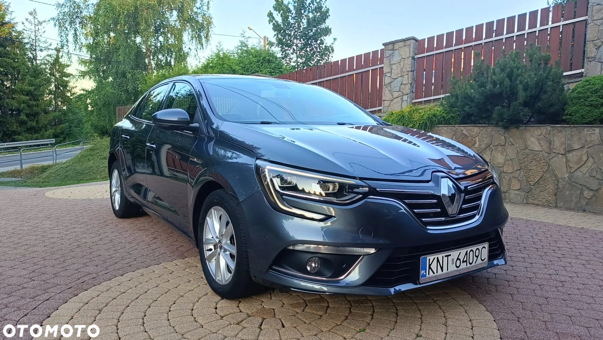 Renault Megane - 33