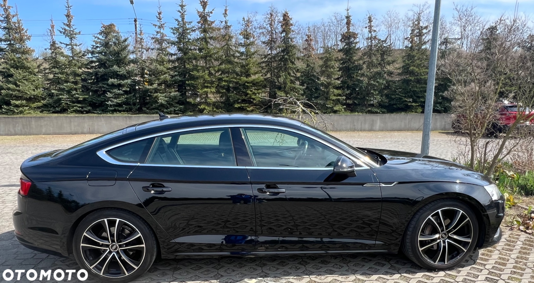 Audi A5 2.0 TDI Sportback (clean diesel) DPF multitronic - 3