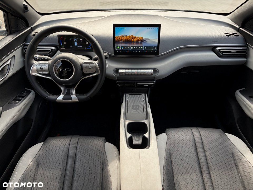 BYD Dolphin Surf - 10