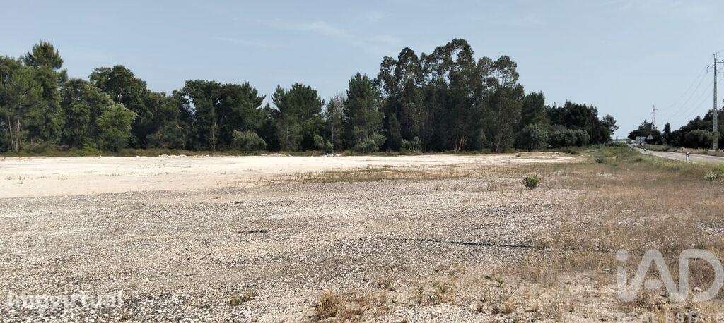 Terreno industrial em Almeirim - Grande imagem: 4/40